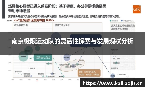 南京极限运动队的灵活性探索与发展现状分析